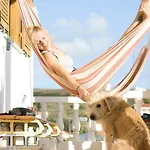 Good Feeling & Hostel Raposeira (Faro)