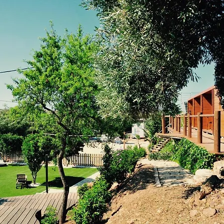 Good Feeling & אכסניה