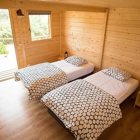 Good Feeling & אכסניה