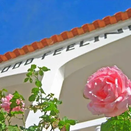 אכסניה Good Feeling & *