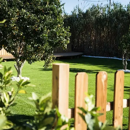 Good Feeling & Raposeira (Faro)