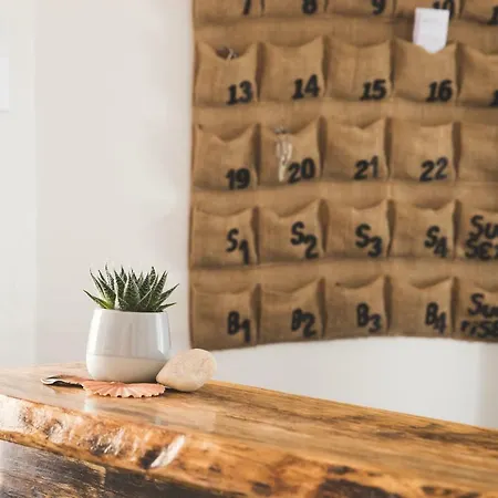 Good Feeling & אכסניה